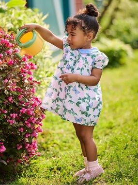 Hatley White Butterfly Print Dress with Blue Collar